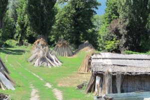 Schilf (lake-reeds) drying for roof-thatching, at Szigliget a little up the lake