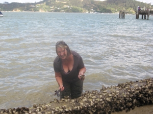 Hunting and gathering rock oysters at Totara North